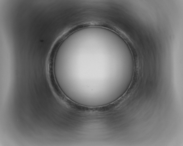 X0000113330730200909141007