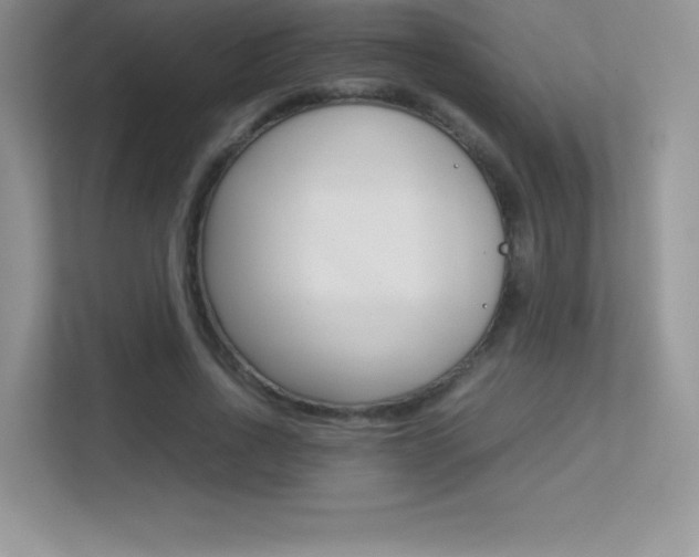 X0000113330734200909141007
