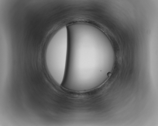 X0000113330735200909141007