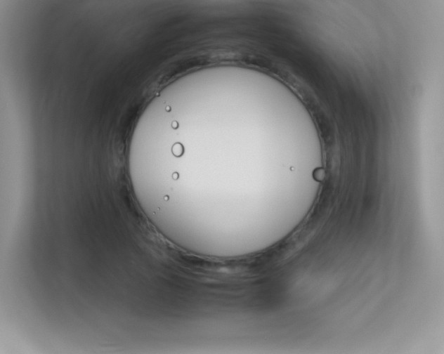 X0000113330737200909141007