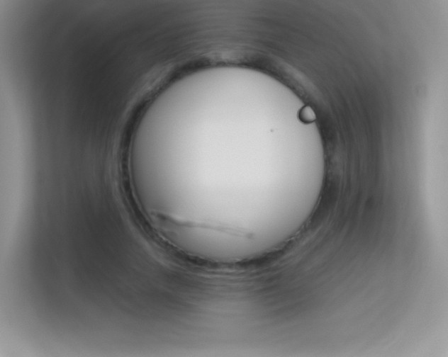 X0000113330738200909141007