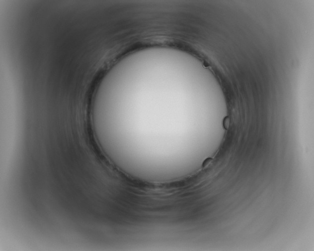 X0000113330739200909141007
