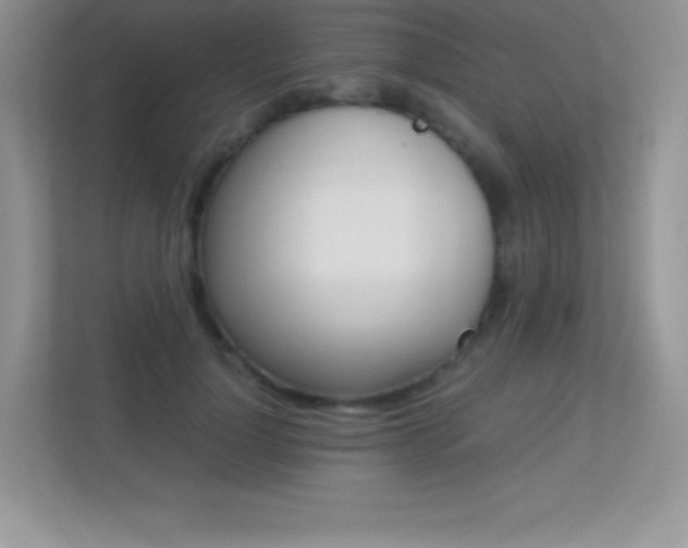 X0000113330748200909141007