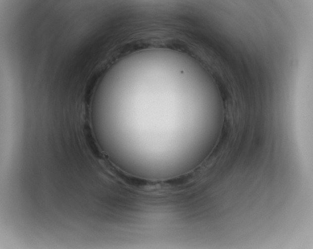 X0000113330752200909141007