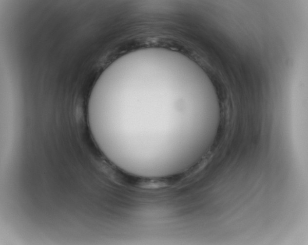 X0000113330754200909141007