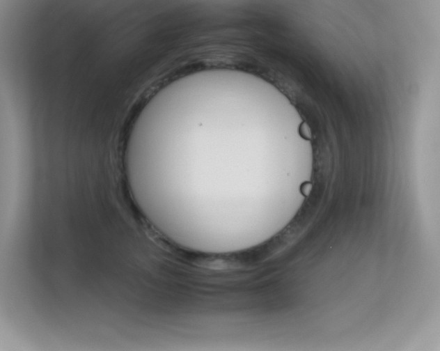 X0000113330755200909141007