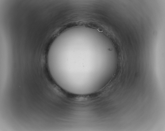 X0000113330756200909141007