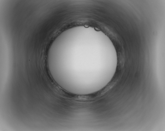 X0000113330758200909141007