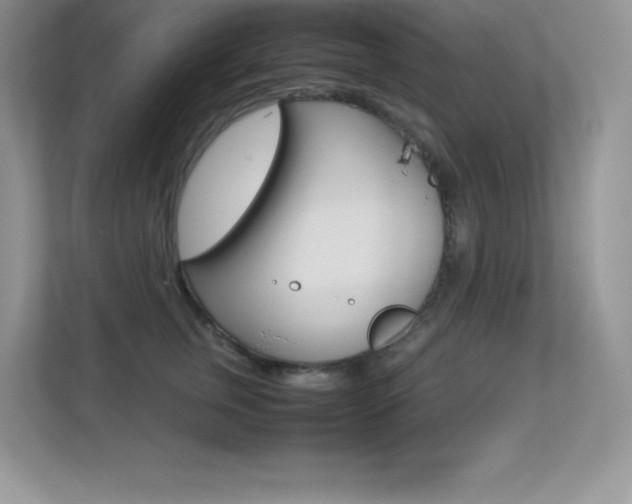 X0000113330759200909141007