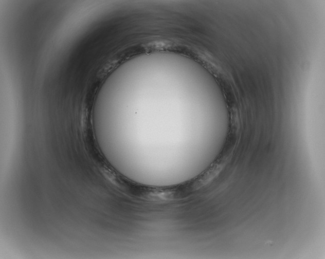 X0000113330760200909141007