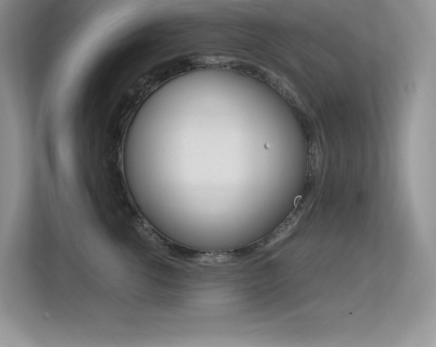X0000113330762200909141007