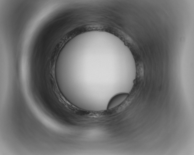 X0000113330764200909141007