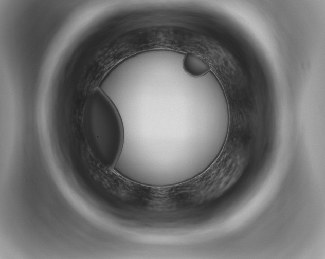 X0000113330766200909141007