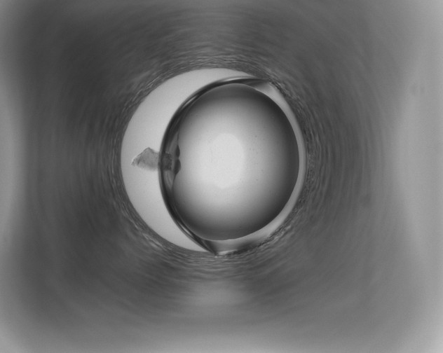 X0000113330768200909141007