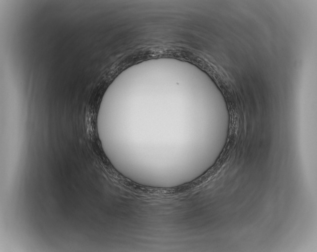 X0000113330770200909141006