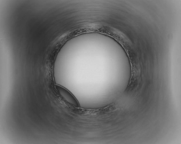 X0000113330773200909141006