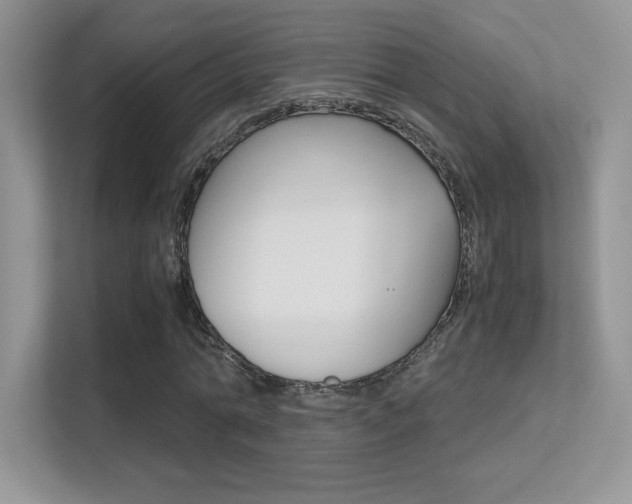X0000113330774200909141006