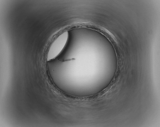 X0000113330775200909141006