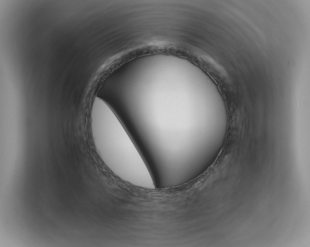 X0000113330776200909141006