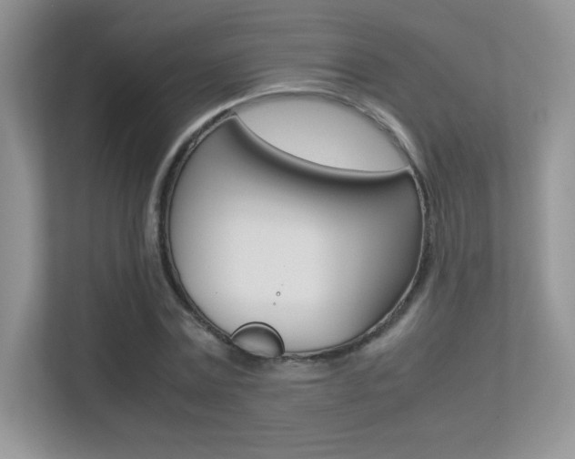 X0000113330779200909141006