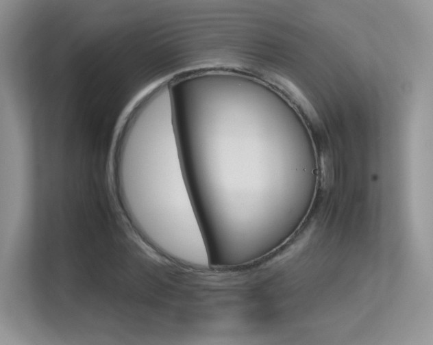 X0000113330780200909141006