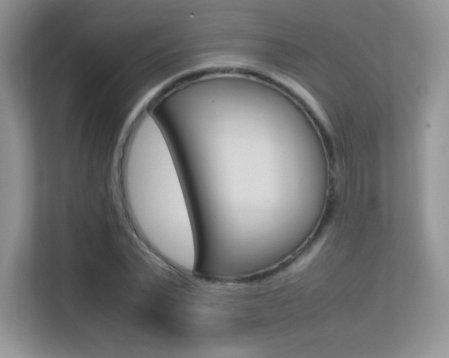 X0000113330783200909141006