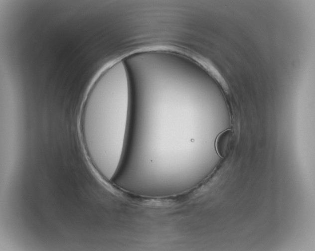 X0000113330805200909141006