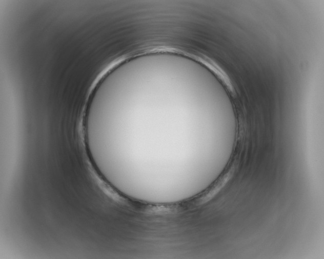 X0000113330806200909141006