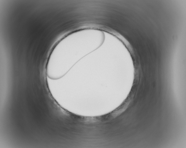 X0000113330807200909141006