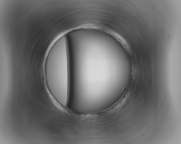 X0000113330808200909141006