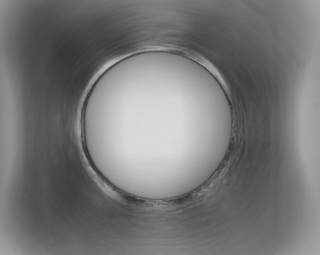 X0000113330811200909141006