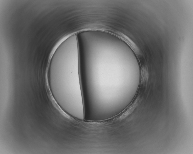 X0000113330812200909141006