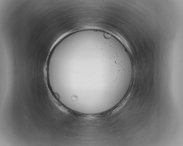 X0000113330814200909141006