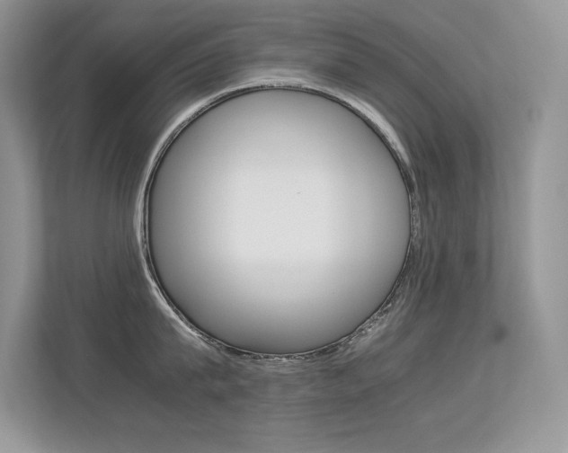 X0000113330815200909141006