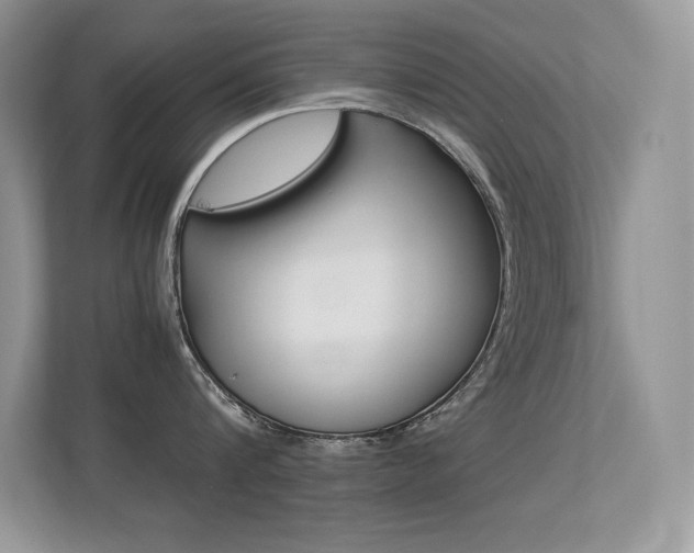 X0000113330816200909141006
