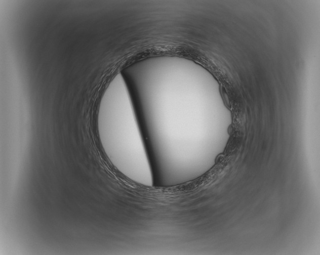 X0000113330817200909141005