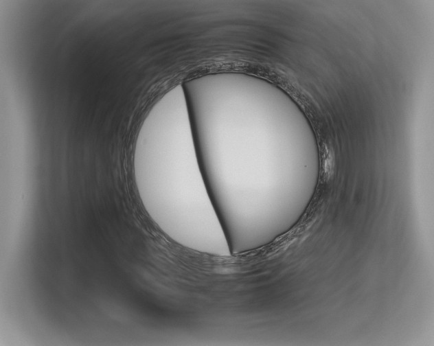 X0000113330819200909141005