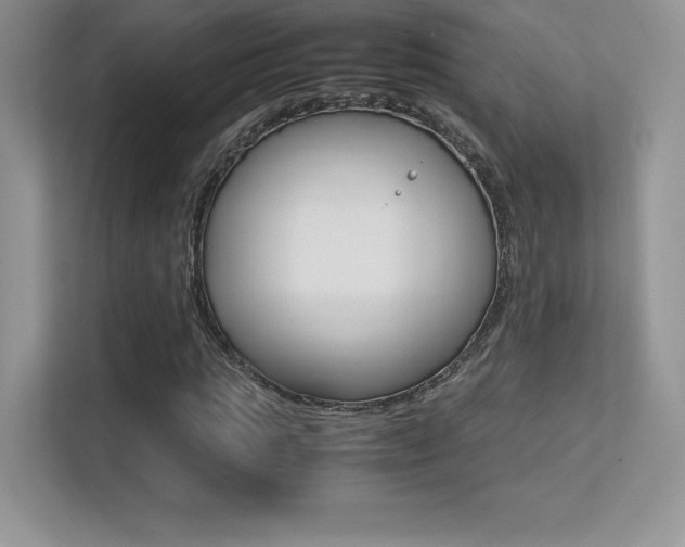 X0000113330821200909141005