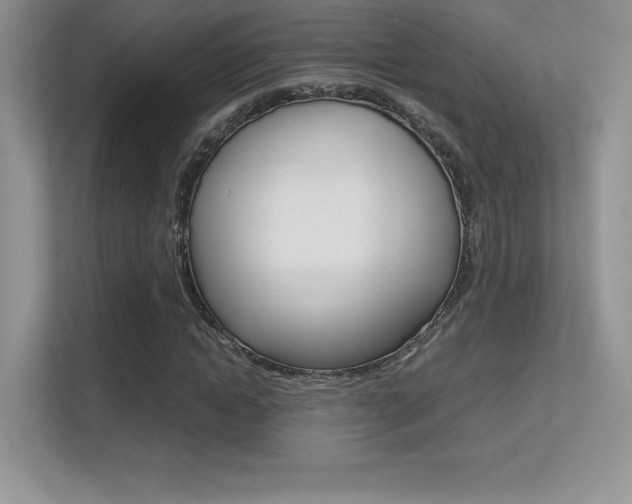 X0000113330822200909141005