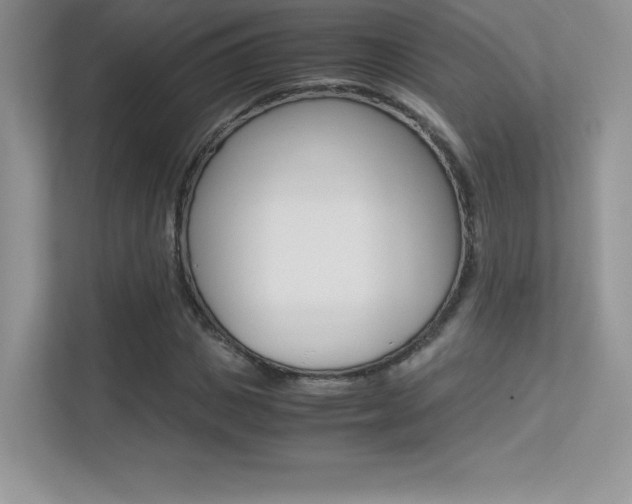 X0000113330825200909141005