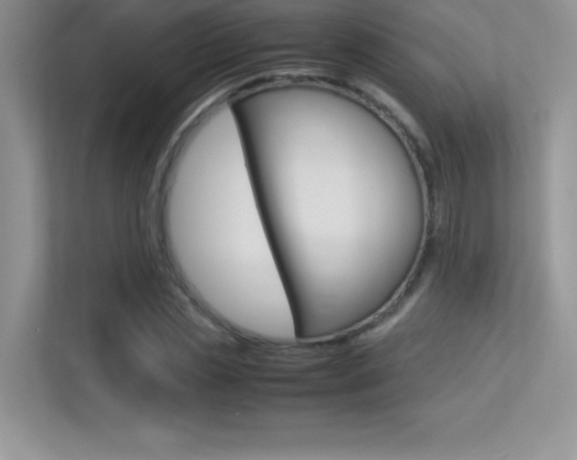 X0000113330829200909141005