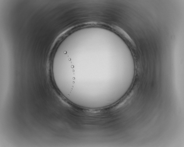 X0000113330831200909141005