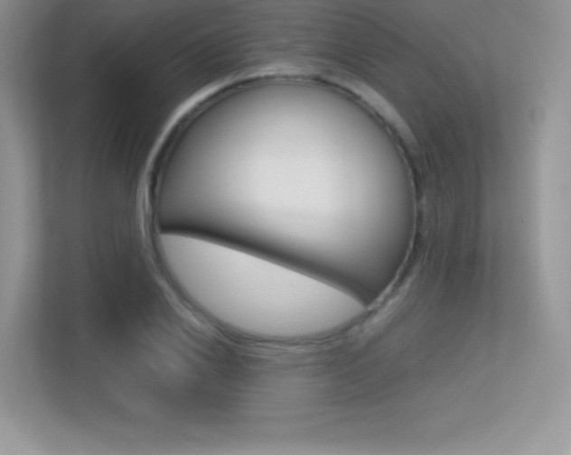 X0000113330838200909141005
