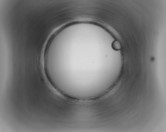 X0000113330840200909141005