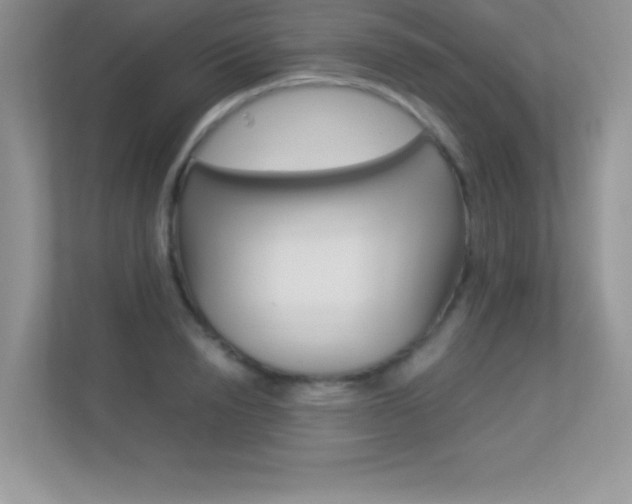 X0000113330846200909141006