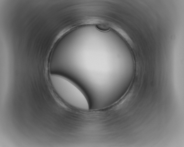X0000113330850200909141006