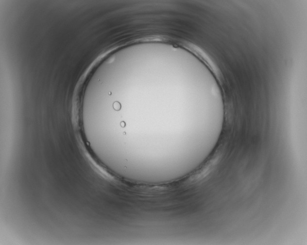 X0000113330851200909141006