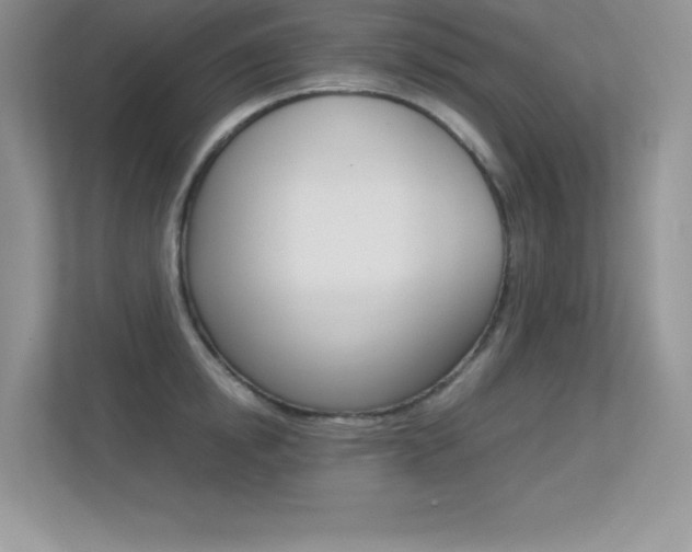X0000113330854200909141006