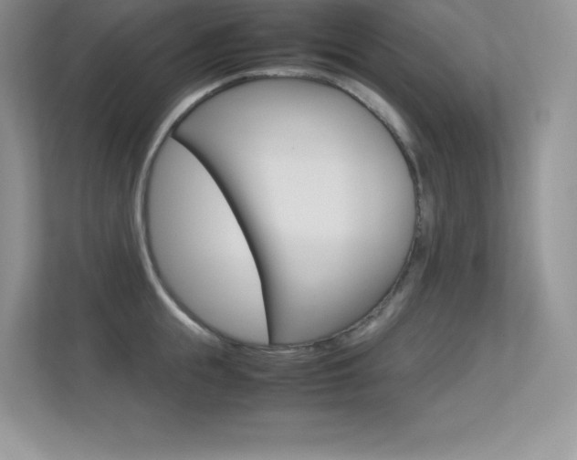 X0000113330855200909141006