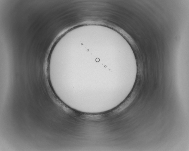 X0000113330856200909141006